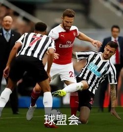 球盟会案例